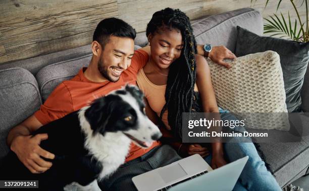 shot of a young couple sitting with their border collie in their living room at home and using a laptop - couple home stockfoto's en -beelden