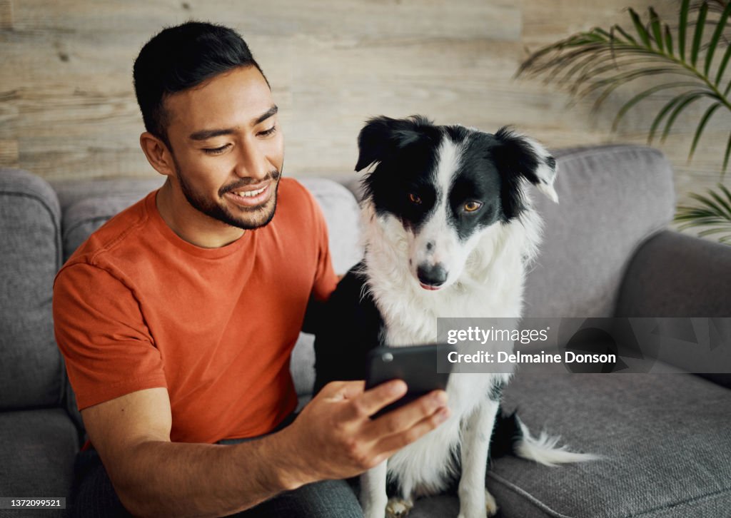 Shot of a handsome young man sitting with his Border Collie in the living room and using his cellphone