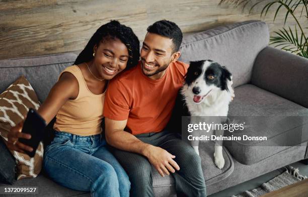 shot of a young couple sitting on the sofa at home with their dog and taking selfies with a cellphone - hairy back man stock pictures, royalty-free photos & images