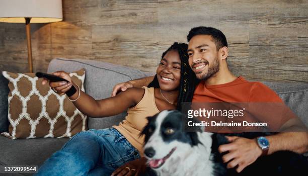 shot of a happy young couple sitting on the sofa at home with their border collie and watching television - black hairy women bildbanksfoton och bilder