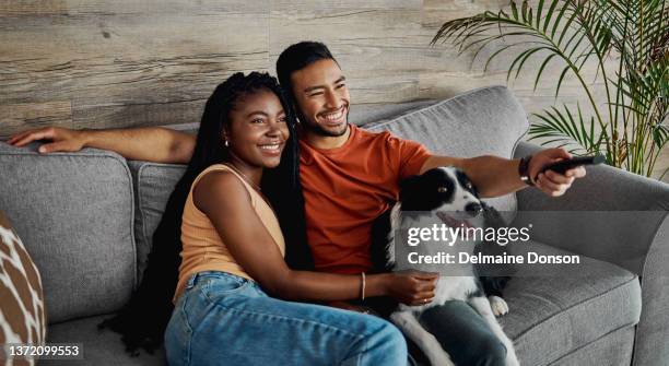 aufnahme eines glücklichen jungen paares, das zu hause mit seinem border collie auf dem sofa sitzt und fernsieht - african couple stock-fotos und bilder