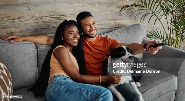 shot of a happy young couple sitting on the sofa at home with their border collie and watching television - cute girlfriends stock pictures, royalty-free photos & images