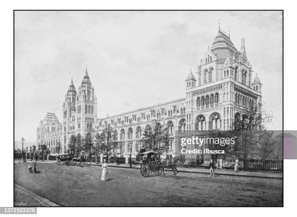 antique london's photographs: natural history museum, south kensington - natural history museum london stock illustrations