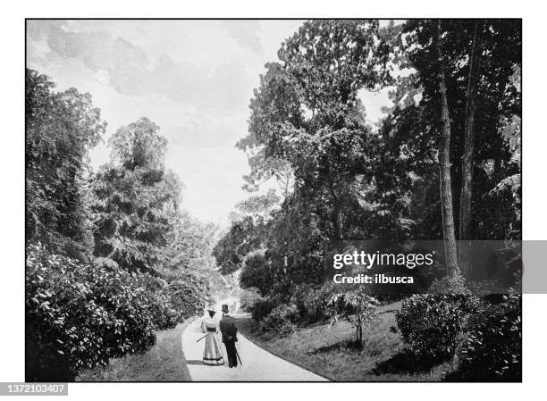 stockillustraties, clipart, cartoons en iconen met antique london's photographs: the rhododendron walk, kew gardens - richmond upon thames