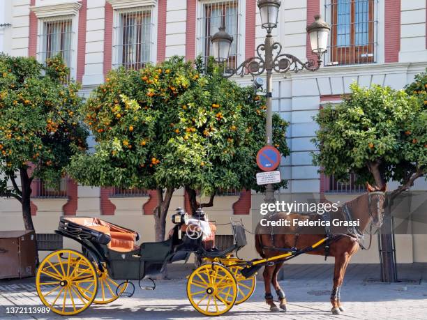 horse-drawn carriage in downtown sevilla, andalusia, spain - koets stockfoto's en -beelden