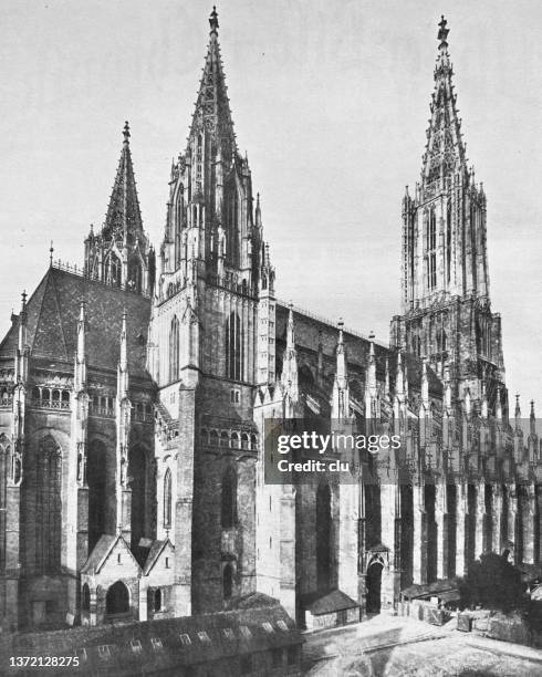 ulmer münster, seitenansicht - ulmer münster stock-grafiken, -clipart, -cartoons und -symbole