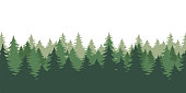 Silhouette forest background. Forest panorama view. 3d wood or forest background.