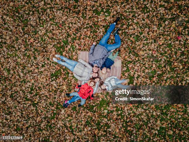 familie genießt den herbst auf einer decke auf der wiese liegend, draufsicht - familie mit vier kindern stock-fotos und bilder