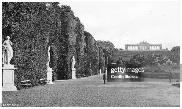 stockillustraties, clipart, cartoons en iconen met antique travel photographs of vienna: schonbrunn and the gloriette - wien schönbrunn