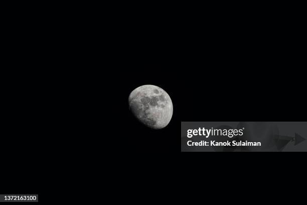 low angle view of moon against clear sky at night - half moon position stock pictures, royalty-free photos & images