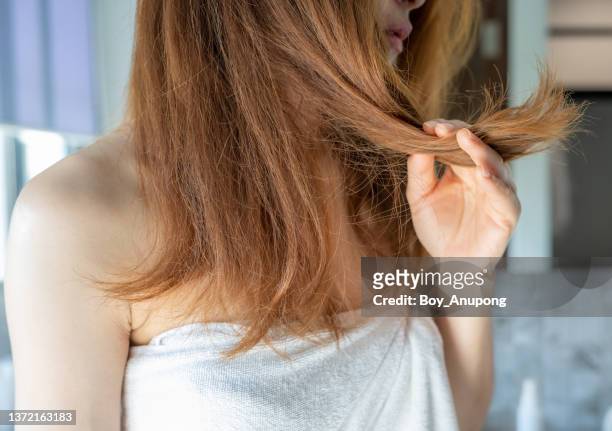 cropped shot view of woman holding her damaged split ended and messy hair. - human hair bildbanksfoton och bilder