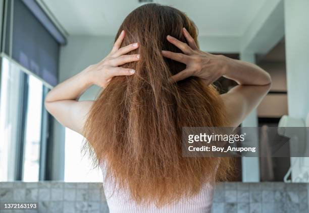rear view of woman with her messy and damaged split ended hair. - haare stock-fotos und bilder