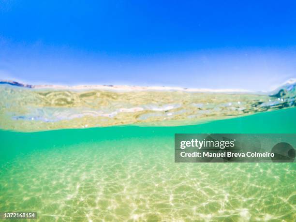 underwater scenery - algarve underwater stock pictures, royalty-free photos & images