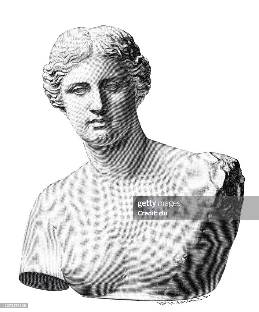 Venus de Milo, marble bust