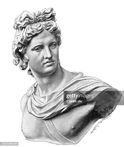 apollo of belvedere - greek god apollo stock illustrations