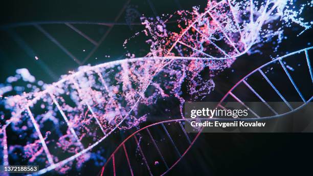 dna strands - dna spiral stock pictures, royalty-free photos & images