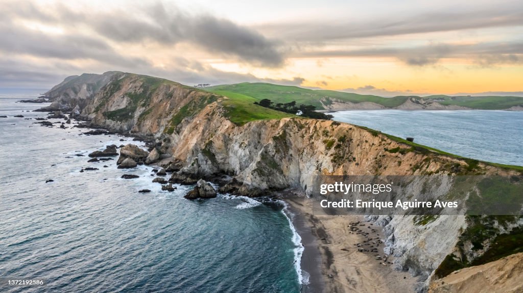 Point Reyes Ns Chimney Rock Point Reyes Ns High-Res Stock Photo - Getty Images