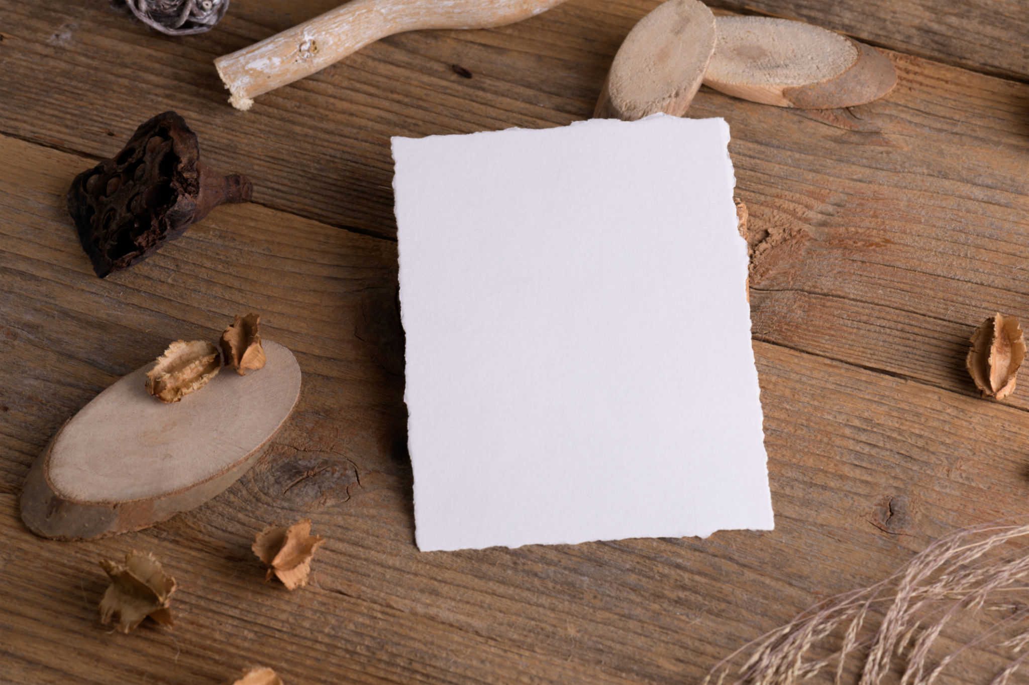 eco-friendly wedding invitations