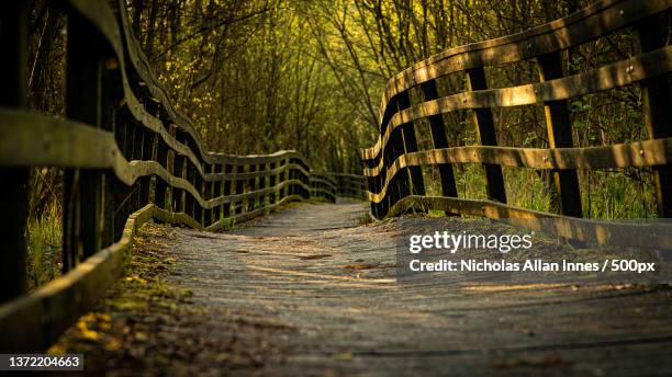 Rickety Ramp 43 Rickety Wooden Bridge Stock Photos, High-Res Pictures, and Images ...