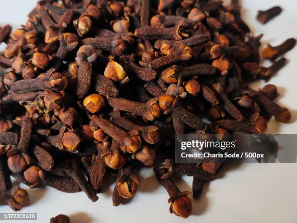 close-up of cloves over white background,indonesia - sode stockfoto's en -beelden