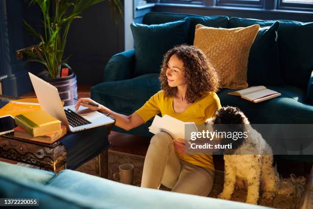 studying at home - dog on a couch stock pictures, royalty-free photos & images