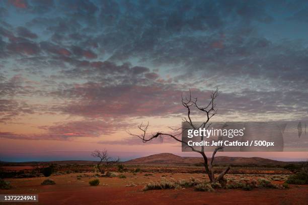 scenic view of landscape against sky during sunset,lake gairdner,australia - australian desert bildbanksfoton och bilder