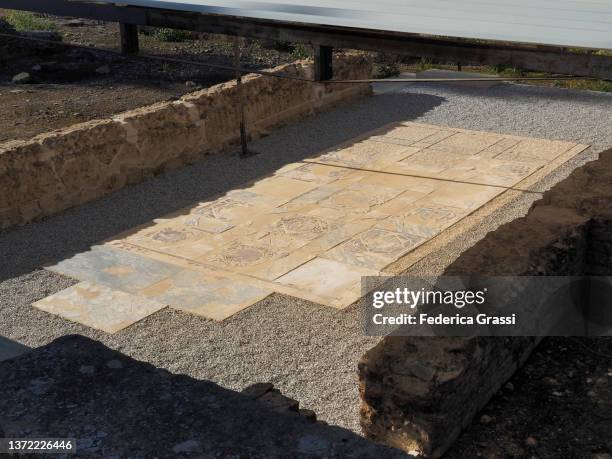 Sectile Sectile Photos and Premium High Res Pictures - Getty Images