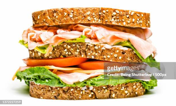close-up of sandwich against white background - sandwich stock-fotos und bilder
