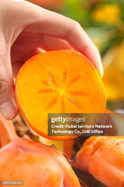 fresh persimmon in hand - persimone stock-fotos und bilder