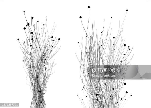growing fibres - fibre stock illustrations