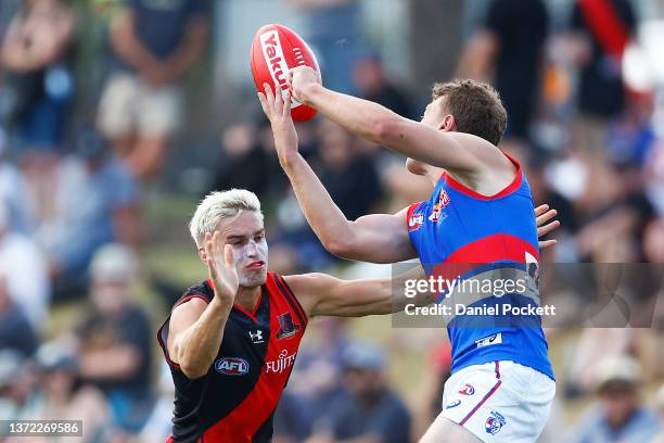 Daniel Snelling 70 Daniel Snelling Stock Photos, High-Res Pictures, and Images - Getty ...