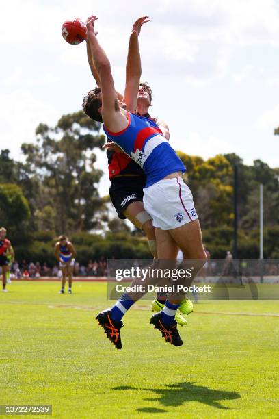 Daniel Snelling 70 Daniel Snelling Stock Photos, High-Res Pictures, and Images - Getty ...