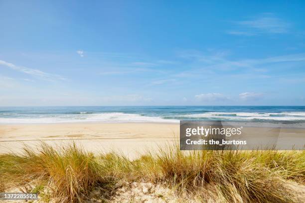 sand dune with marram grass, empty beach and sea against blue sky - clear sky photos et images de collection