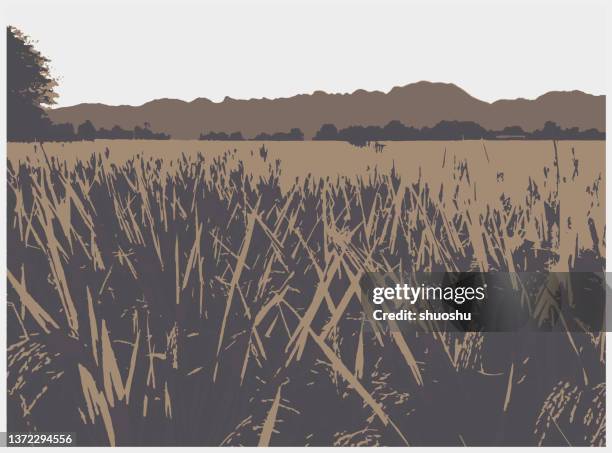 color woodcut style chinese country nature scene landscape - grass field stock illustrations