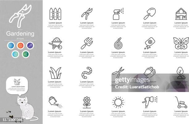 stockillustraties, clipart, cartoons en iconen met gardening line icons content infographic - lawn care