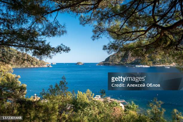 summer landscape on the mediterranean coast in turkey near marmaris and icmeler. view of the bay and mountains through pine branches - aegean turkey stock pictures, royalty-free photos & images