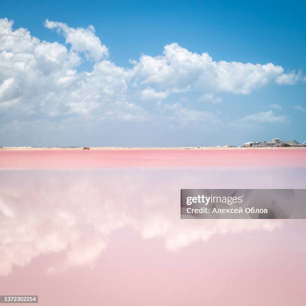 pink lake with white salt near the shore. in the background, a salt factory against a blue sky. las coloradas, yucatan, mexico - cloud sales fotografías e imágenes de stock