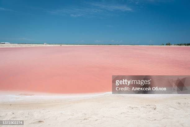 pink lake with white salt near the shore. in the background, a salt factory against a blue sky. las coloradas, yucatan, mexico - yucatan peninsula - fotografias e filmes do acervo