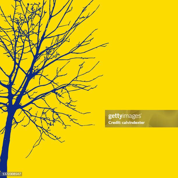 tree silhouette - outdoor background stock illustrations