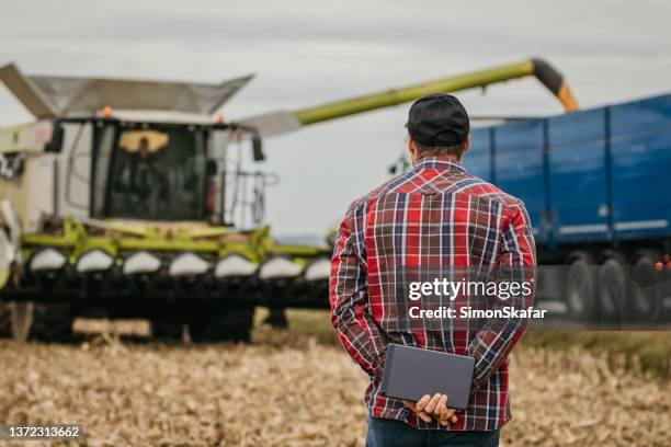 farmer holding tablet, looking at combine harvester emptying its load, rear view - monoculture stock pictures, royalty-free photos & images