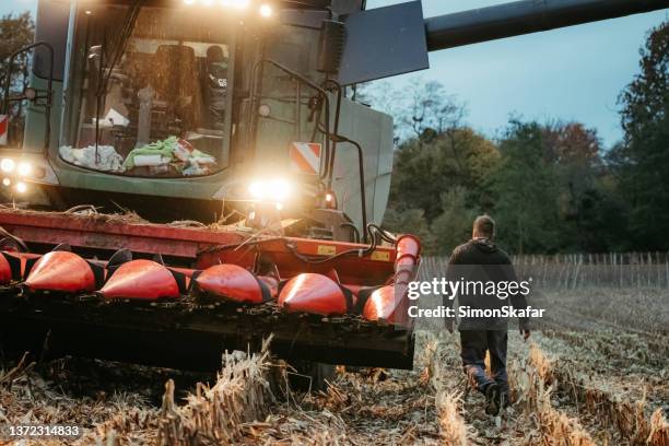 mähdrescher auf stoppelfeld mit beleuchtung am fahrzeug am abend, landarbeiter geht daneben - forest machine stock-fotos und bilder