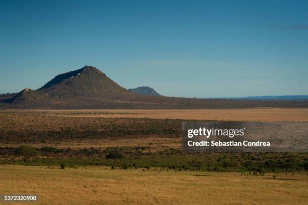 african steppe, tsavo west national park, kenya. - ステップ地帯 ストックフォトと画像