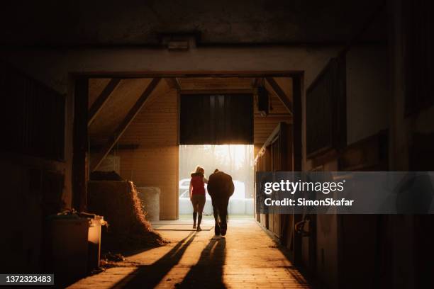 rear view of woman and horse walking - stable 個照片及圖片檔