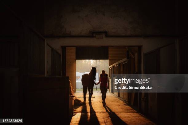 silhouette of woman and horse walking in the barn - horse barn stock pictures, royalty-free photos & images