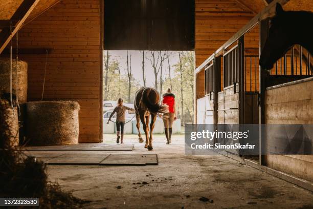 rear view of woman and daughter walking with horse - horse barn stock pictures, royalty-free photos & images