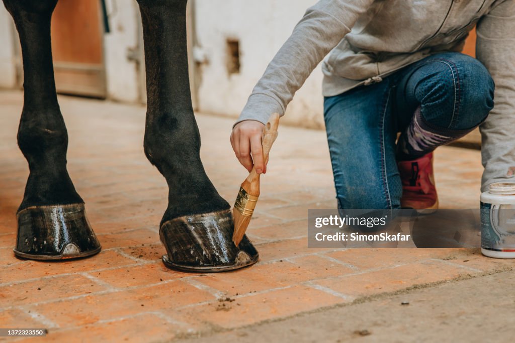 Hände eines kleinen Mädchens, das Öl auf den Pferdehuf aufträgt