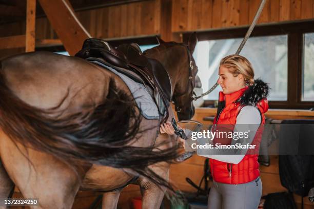 young woman arranging stirrup on saddle - stal stockfoto's en -beelden