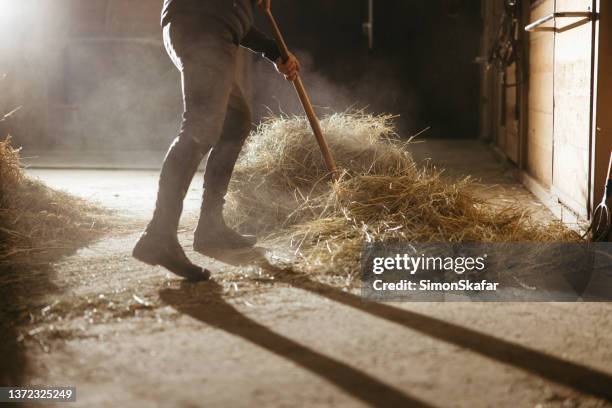 low section of man working at the barn - pitchfork stock pictures, royalty-free photos & images