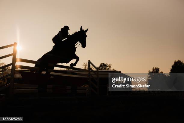 silhouette of female jockey on horse jumping over hurdle - equestrian event stock pictures, royalty-free photos & images