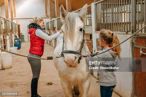 mother and daughter brushing horse at the barn - combing stockfoto's en -beelden